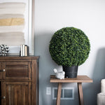 Vickerman TP171320 20
