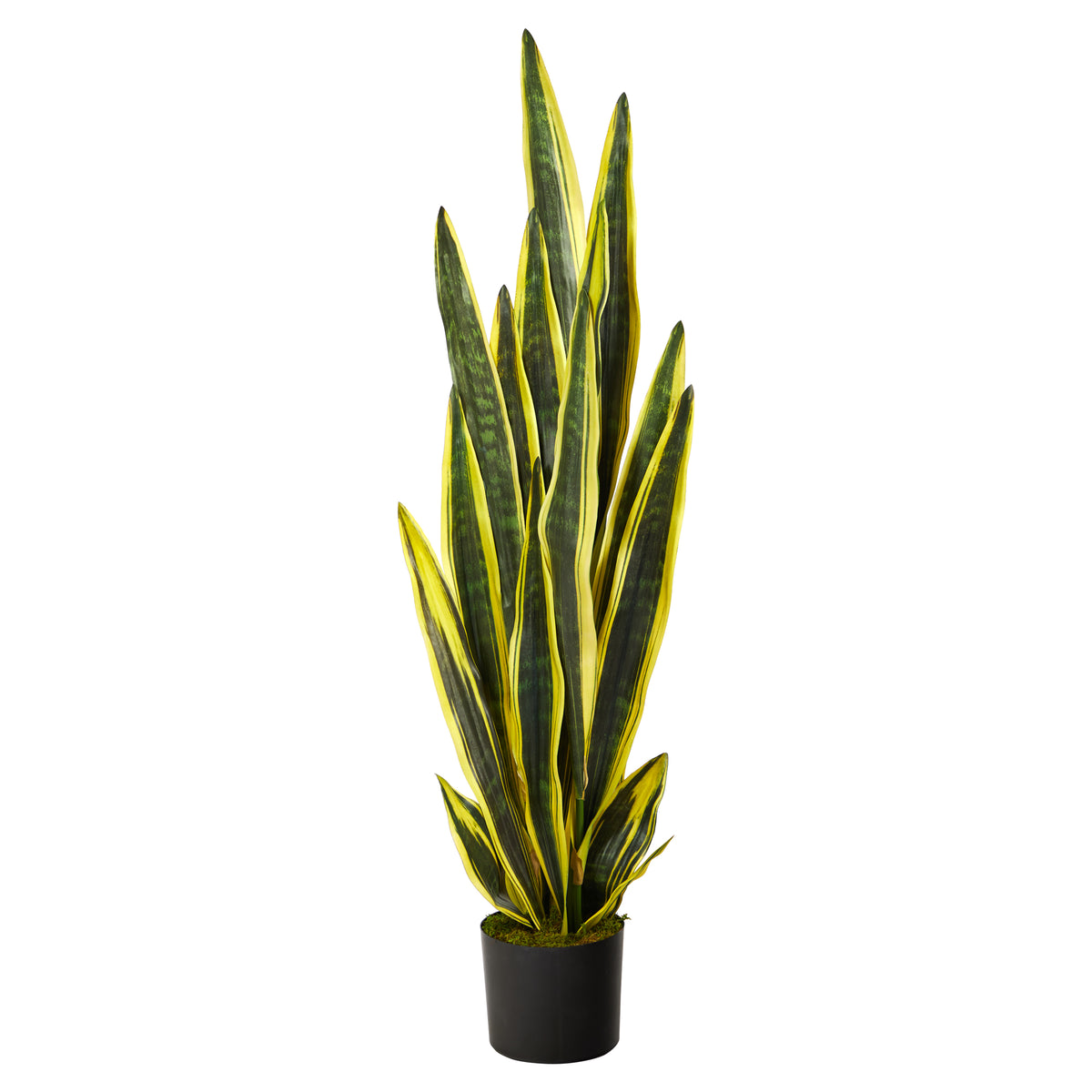 sansevieria snake plant in woven river grass Nearly Natural P1675 4` Sansevieria Artificial Plant – Uber Bazaar
