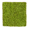 Nearly Natural P1507 20” X 20” Duckweed Artificial Wall Mat