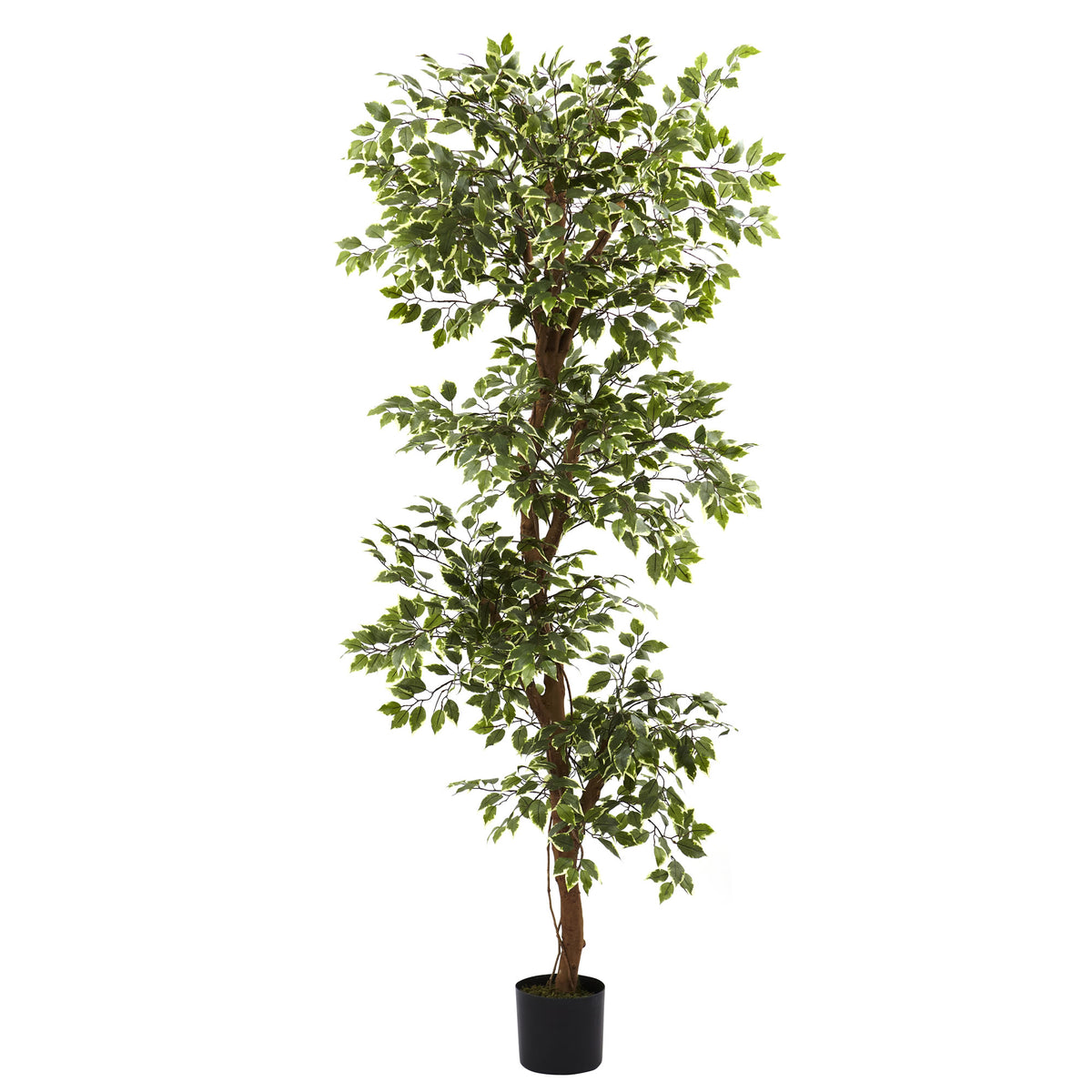 Nearly Natural 3' Ficus Artificial Tree, Green