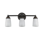 Chloe Lighting CH2Z051BZ21-BL3 Hemsworth Transitional 3 Light Bronze Bath Vanity Wall Fixture White Frosted Glass 21.5`` Wide