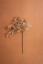 A single dried botanical stem with delicate pale beige leaves and small muted pink accents, arranged against a solid warm peach background.