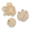 SPI Home Handcrafted Panels Kalani Outdoor Bleached Wall Decor Set of 3