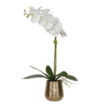 Uttermost Cami Orchid with Brass Pot 14"W x 24"H White Polyester and Brass Contemporary Tabletop Accent