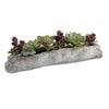 Uttermost Charita Lush Succulents – 30×10×10 in Green Burgundy Driftwood Log Concrete Planter for Indoor Decor