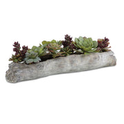 Uttermost Charita Lush Succulents – 30×10×10 in Green Burgundy Driftwood Log Concrete Planter for Indoor Decor