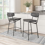 Charon Faux Leather Counter Stool Pair – Vintage Black