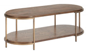 Modern Brown Coffee Table With Open Shelf and Metallic Base