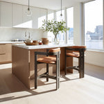 Modern Indoor Counter Height Stool in Brown by Zuo