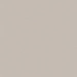 Solid light gray color swatch
