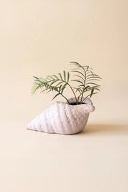 terracotta planter