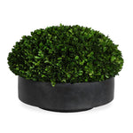 Charcoal Bowl Faux Boxwood Arrangement Centerpiece 13" H Indoor Use by Uttermost