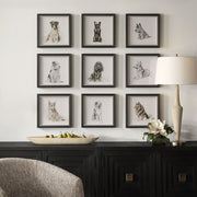 Uttermost 32344 Loyal Companion Framed Dog Prints Set of 9 in Black Wood Frames