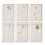 Uttermost 32384 Wild Flourish Framed Floral Watercolor Prints Set of 6