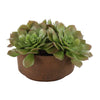 Artificial Succulent Accent Decor