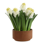 Uttermost Sincerity Potted Hyacinth-Terracotta Finished Planter with White Hyacinth