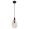 Campester Modern Pendant Light – Matte Black Mini Fixture with Clear Watered Glass Teardrop Shade