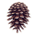 SPI Home Brass Pinecone Doorknocker – 7" Nature-Inspired Front Door Accent
