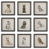Uttermost 32344 Loyal Companion Framed Dog Prints Set of 9 in Black Wood Frames