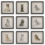 Uttermost 32344 Loyal Companion Framed Dog Prints Set of 9 in Black Wood Frames