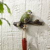 Coat Hook 5 Inch Aluminum Greenfinch Bird Wall Accent SPI