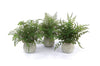 14" Faux Potted Fern Plant Set – Trio of Green Ferns in Grey Pots for Home, Office, or Patio By Melrose
