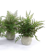 Set of 3 Potted Faux Ferns – 14