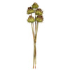 Vickerman H1ARS100 Natural 15" Dried Basil Artichokes On Reed Stems 5 Stems Dried