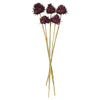 Vickerman H1ARS575 15" Violet Artichokes On Reed Stems 5 Stems Dried