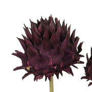 Vickerman H1ARS575-9 15