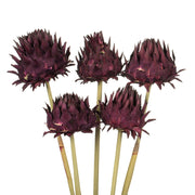 Vickerman H1ARS575 15