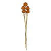 Vickerman H1ARS725 15"  Aspen Gold Artichokes On Reed Stems 5 Stems Dried