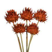 Vickerman H1ARS750-9 15