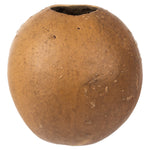 Vickerman H2BAC000 6-7" H X 6-8" W Natural Bacacuia Gourd 1 Piece Dried