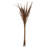 Vickerman H2BAH000-2 36" Natural Bahia Spears With Seeds 2 Pack Dried