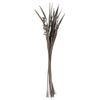 Vickerman H2BAH300-2 36" Gray Wash Bahia Spears With Seeds 2 Pack Dried