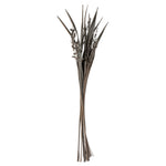 Vickerman H2BAH300-2 36" Gray Wash Bahia Spears With Seeds 2 Pack Dried