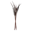 Vickerman H2BAH800 36" Dark Brown Bahia Spears Seeded 9 Stems Dried