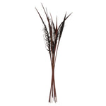 Vickerman H2BAH800 36" Dark Brown Bahia Spears Seeded 9 Stems Dried