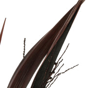 Vickerman H2BAH800 36