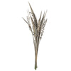 Vickerman H2BAH900-2 36" White Wash Bahia Spears With Seeds 2 Pack Dried