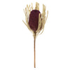 Vickerman H1BAJ575 12" Violet Banksia Flower Stem. Includes 25 Stems Per Pack. Dried