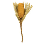 Vickerman H1BAJ700-3 12" Jumbo Yellow Banksia Flower With Stem. Includes 3 Stems Per Pack. Dried