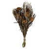 Vickerman H1BAN750 12" Autumn Banksia Foliage & Flowers-Preserved 4 Oz Bundle