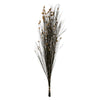 Vickerman H1BFL000 36-40" Natural Bell Grass With Seed Pods 8-9 Oz Bundle Preserved