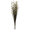 Vickerman H1BFL100 36-40" Basil Bell Grass With Seed Pods 8-9 Oz Bundle Preserved