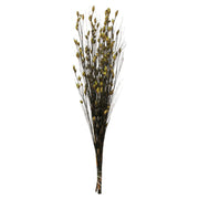 Vickerman H1BFL100 36-40
