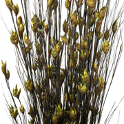 Vickerman H1BFL100 36-40