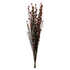 Vickerman H1BFL450 36-40" Merlot Bell Grass With Seed Pods 8-9 Oz Bundle Preserved