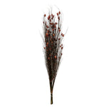 Vickerman H1BFL475 36-40" Red Bell Grass With Seed Pods 8-9 Oz Bundle Preserved